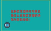 五种灵芝酒功效与禁忌是什么五种灵芝酒的功效与禁忌概览)