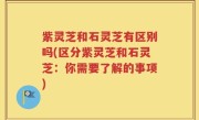 紫灵芝和石灵芝有区别吗(区分紫灵芝和石灵芝：你需要了解的事项)