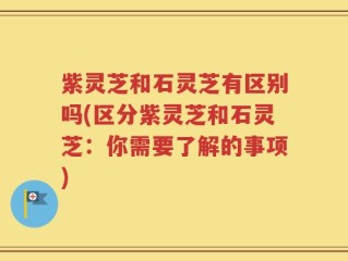 紫灵芝和石灵芝有区别吗(区分紫灵芝和石灵芝：你需要了解的事项)