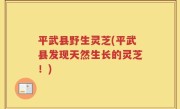 平武县野生灵芝(平武县发现天然生长的灵芝！)