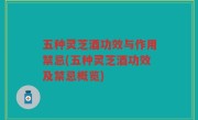 五种灵芝酒功效与作用禁忌(五种灵芝酒功效及禁忌概览)