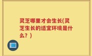 灵芝哪里才会生长(灵芝生长的适宜环境是什么？)