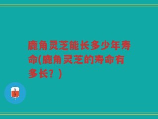 鹿角灵芝能长多少年寿命(鹿角灵芝的寿命有多长？)