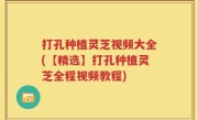 打孔种植灵芝视频大全(【精选】打孔种植灵芝全程视频教程)