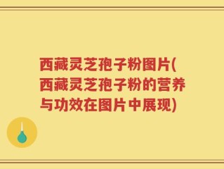 西藏灵芝孢子粉图片(西藏灵芝孢子粉的营养与功效在图片中展现)