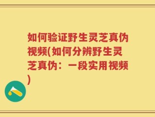 如何验证野生灵芝真伪视频(如何分辨野生灵芝真伪：一段实用视频)