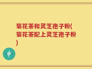 菊花茶和灵芝孢子粉(菊花茶配上灵芝孢子粉)
