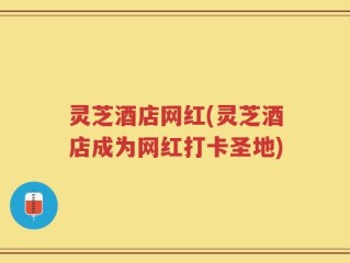 灵芝酒店网红(灵芝酒店成为网红打卡圣地)