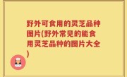 野外可食用的灵芝品种图片(野外常见的能食用灵芝品种的图片大全)