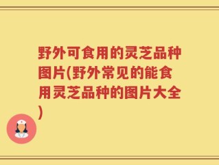 野外可食用的灵芝品种图片(野外常见的能食用灵芝品种的图片大全)