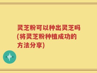灵芝粉可以种出灵芝吗(将灵芝粉种植成功的方法分享)