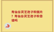 寿仙谷灵芝孢子粉图片？寿仙谷灵芝孢子粉靠谱吗