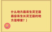 什么地方最易生灵芝菌最容易生长灵芝菌的地方是哪里？)