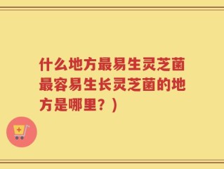 什么地方最易生灵芝菌最容易生长灵芝菌的地方是哪里？)