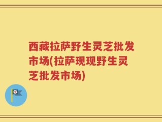 西藏拉萨野生灵芝批发市场(拉萨现现野生灵芝批发市场)