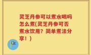 灵芝丹参可以煮水喝吗怎么煮(灵芝丹参可否煮水饮用？简单煮法分享！)