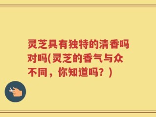灵芝具有独特的清香吗对吗(灵芝的香气与众不同，你知道吗？)