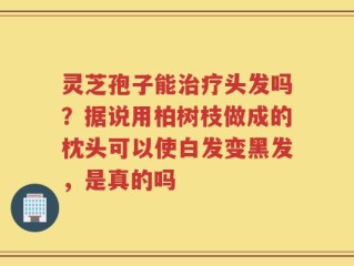 灵芝孢子能治疗头发吗？据说用柏树枝做成的枕头可以使白发变黑发，是真的吗