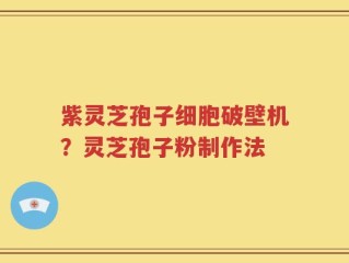 紫灵芝孢子细胞破壁机？灵芝孢子粉制作法