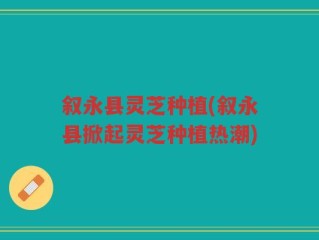 叙永县灵芝种植(叙永县掀起灵芝种植热潮)