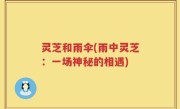 灵芝和雨伞(雨中灵芝：一场神秘的相遇)