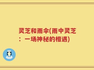 灵芝和雨伞(雨中灵芝：一场神秘的相遇)