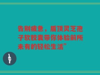 告别疲惫，盾顶灵芝孢子软胶囊带你体验前所未有的轻松生活”