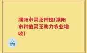 濮阳市灵芝种植(濮阳市种植灵芝助力农业增收)