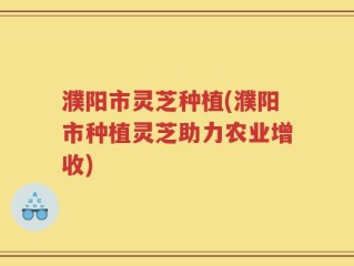 濮阳市灵芝种植(濮阳市种植灵芝助力农业增收)