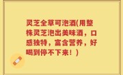 灵芝全草可泡酒(用整株灵芝泡出美味酒，口感独特，富含营养，好喝到停不下来！)