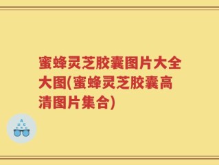蜜蜂灵芝胶囊图片大全大图(蜜蜂灵芝胶囊高清图片集合)