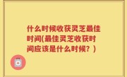 什么时候收获灵芝最佳时间(最佳灵芝收获时间应该是什么时候？)