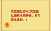 灵芝菌丝腐木(灵芝菌丝破解木质纤维，利用腐木生长。)