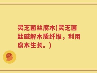 灵芝菌丝腐木(灵芝菌丝破解木质纤维，利用腐木生长。)