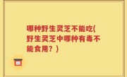 哪种野生灵芝不能吃(野生灵芝中哪种有毒不能食用？)