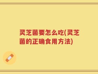 灵芝菌要怎么吃(灵芝菌的正确食用方法)
