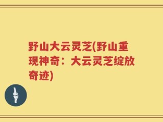 野山大云灵芝(野山重现神奇：大云灵芝绽放奇迹)