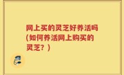 网上买的灵芝好养活吗(如何养活网上购买的灵芝？)