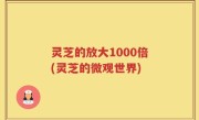 灵芝的放大1000倍(灵芝的微观世界)