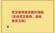 灵芝基地美食图片插画(走进灵芝基地，品味美食之旅)