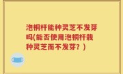 泡桐杆能种灵芝不发芽吗(能否使用泡桐杆栽种灵芝而不发芽？)