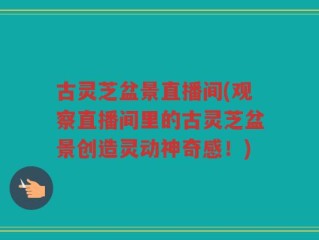 古灵芝盆景直播间(观察直播间里的古灵芝盆景创造灵动神奇感！)