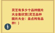 灵芝有多少个品种图片大全集欣赏(灵芝品种图片大全：盘点所有品种！)