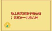 地上黄灵芝孢子粉价格？灵芝分一共有几种