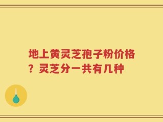 地上黄灵芝孢子粉价格？灵芝分一共有几种