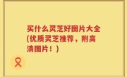 买什么灵芝好图片大全(优质灵芝推荐，附高清图片！)