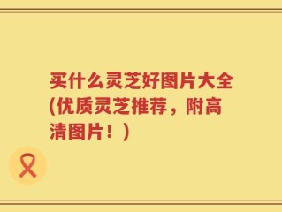 买什么灵芝好图片大全(优质灵芝推荐，附高清图片！)