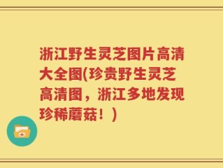 浙江野生灵芝图片高清大全图(珍贵野生灵芝高清图，浙江多地发现珍稀蘑菇！)