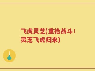 飞虎灵芝(重拾战斗！灵芝飞虎归来)