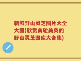 新鲜野山灵芝图片大全大图(欣赏美轮美奂的野山灵芝图库大合集)